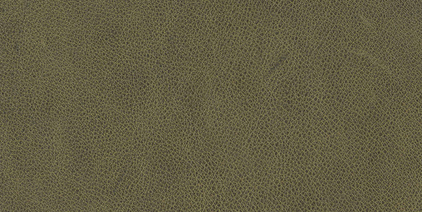 RAWHIDE - olive tree 355