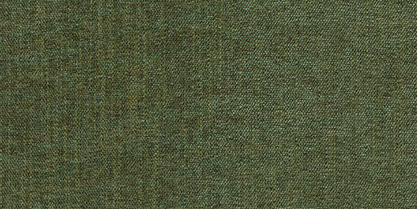ARC - olive 14196